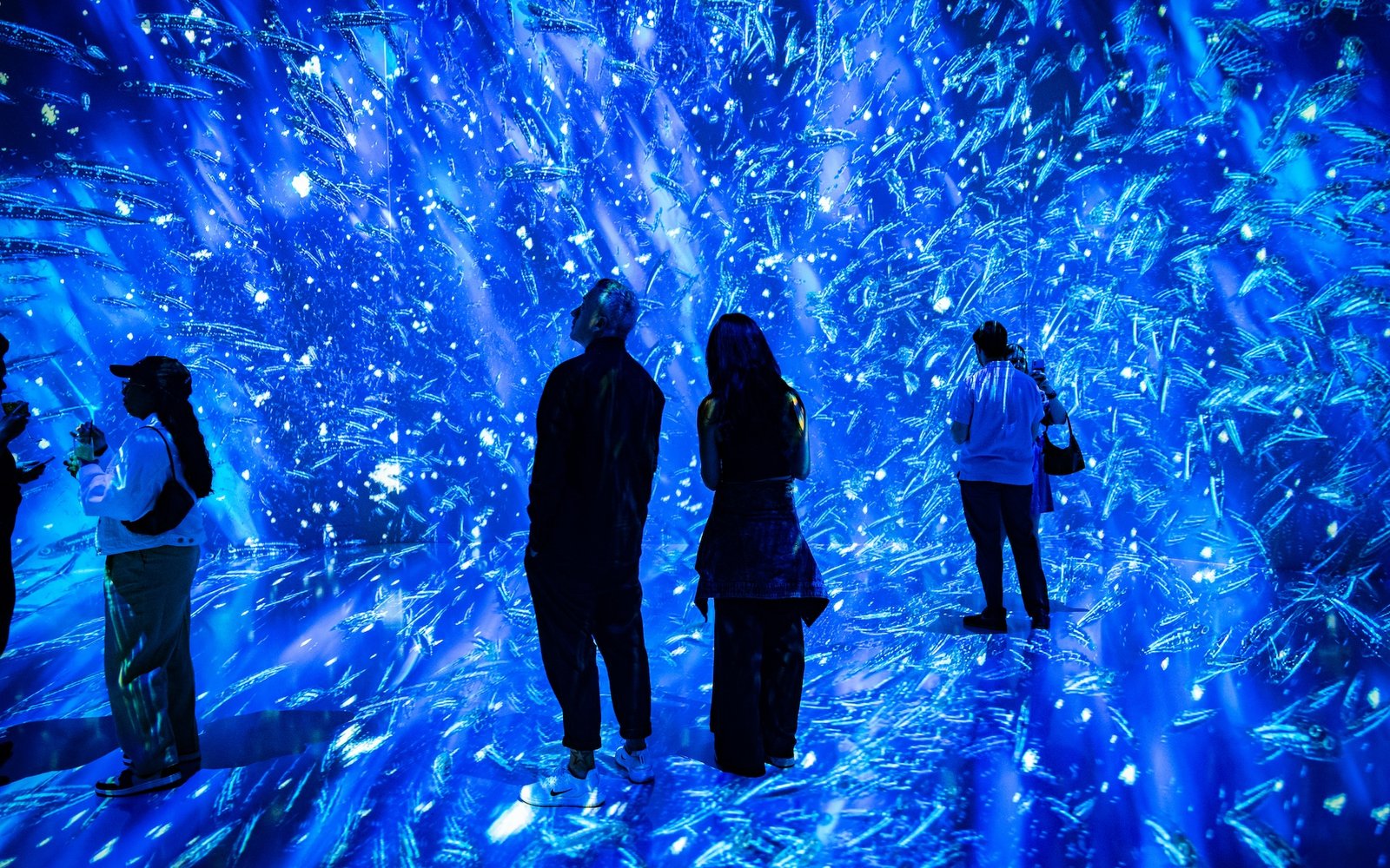 ARTECHOUSE NYC: Twilight Zone — Attractions in Chelsea, Manhattan