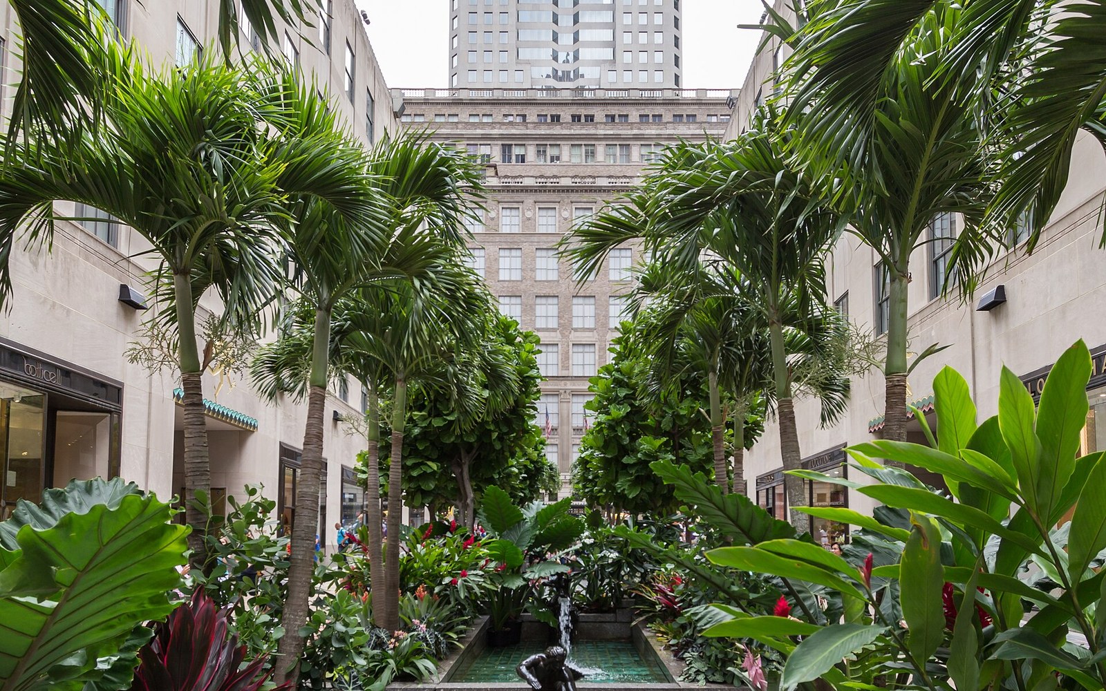 Rockefeller Center & Top of the Rock: A Complete Midtown Day