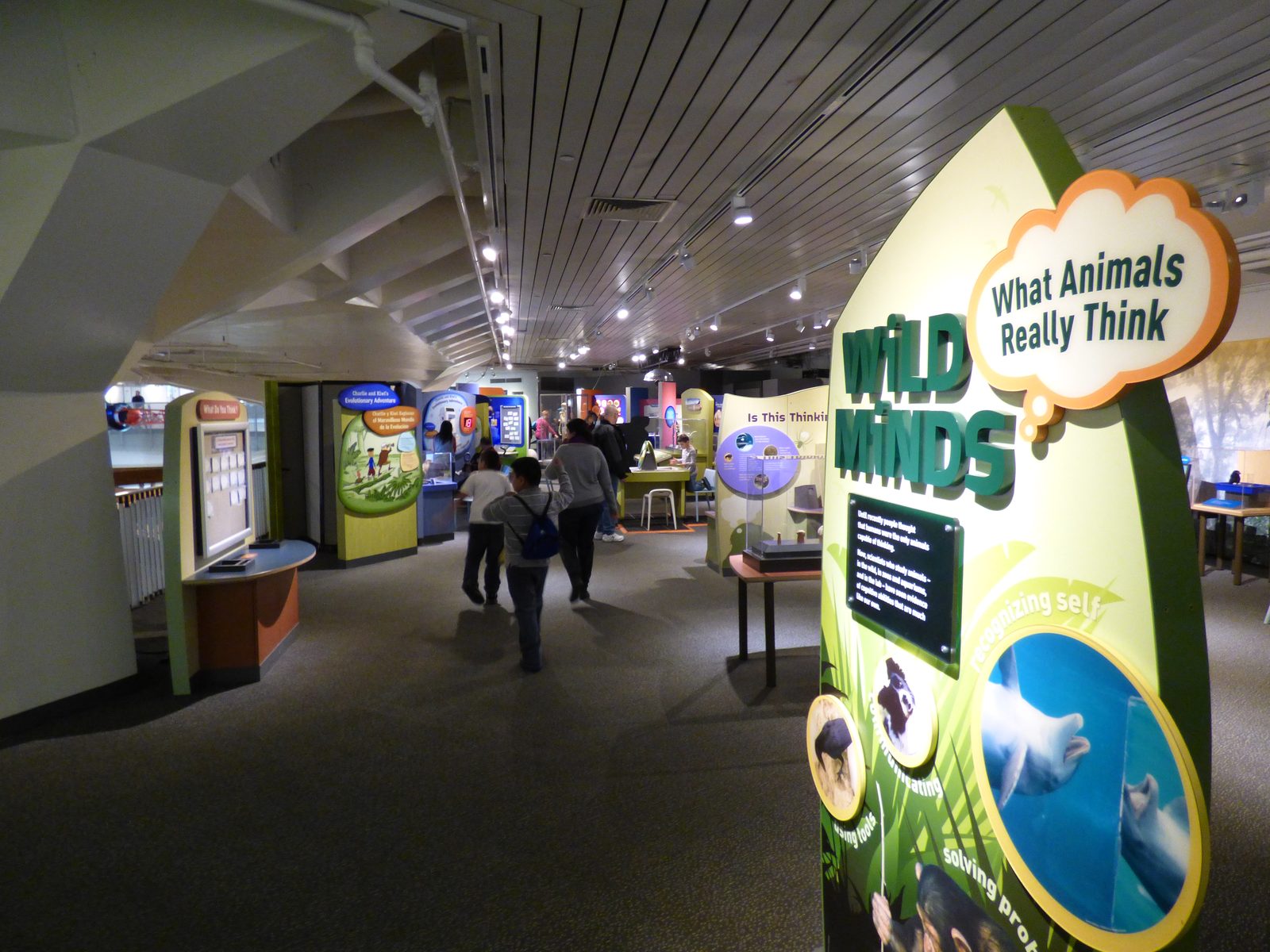 A hands-on exhibit gallery at the New York Hall of Science in Queens, New York City