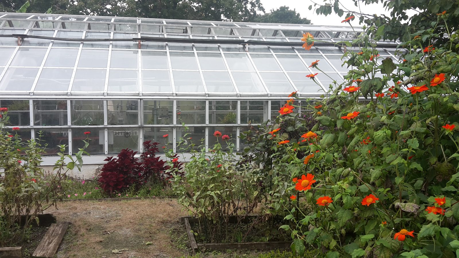 Snug Harbor Cultural Center and Botanical Garden greenhouse and lawns on Staten Island