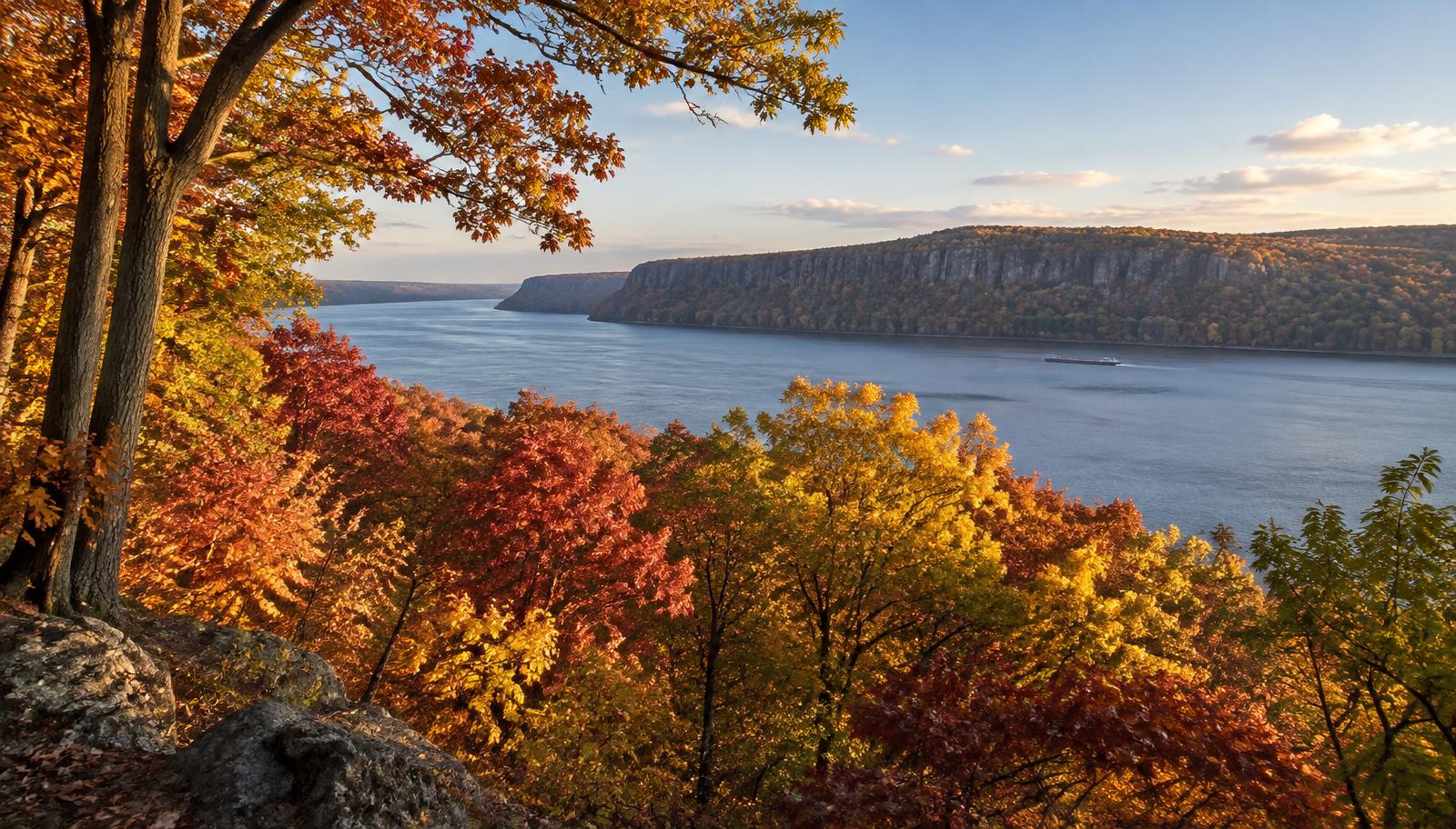 Where to See Fall Foliage in NYC: 12 Best Spots for 2026