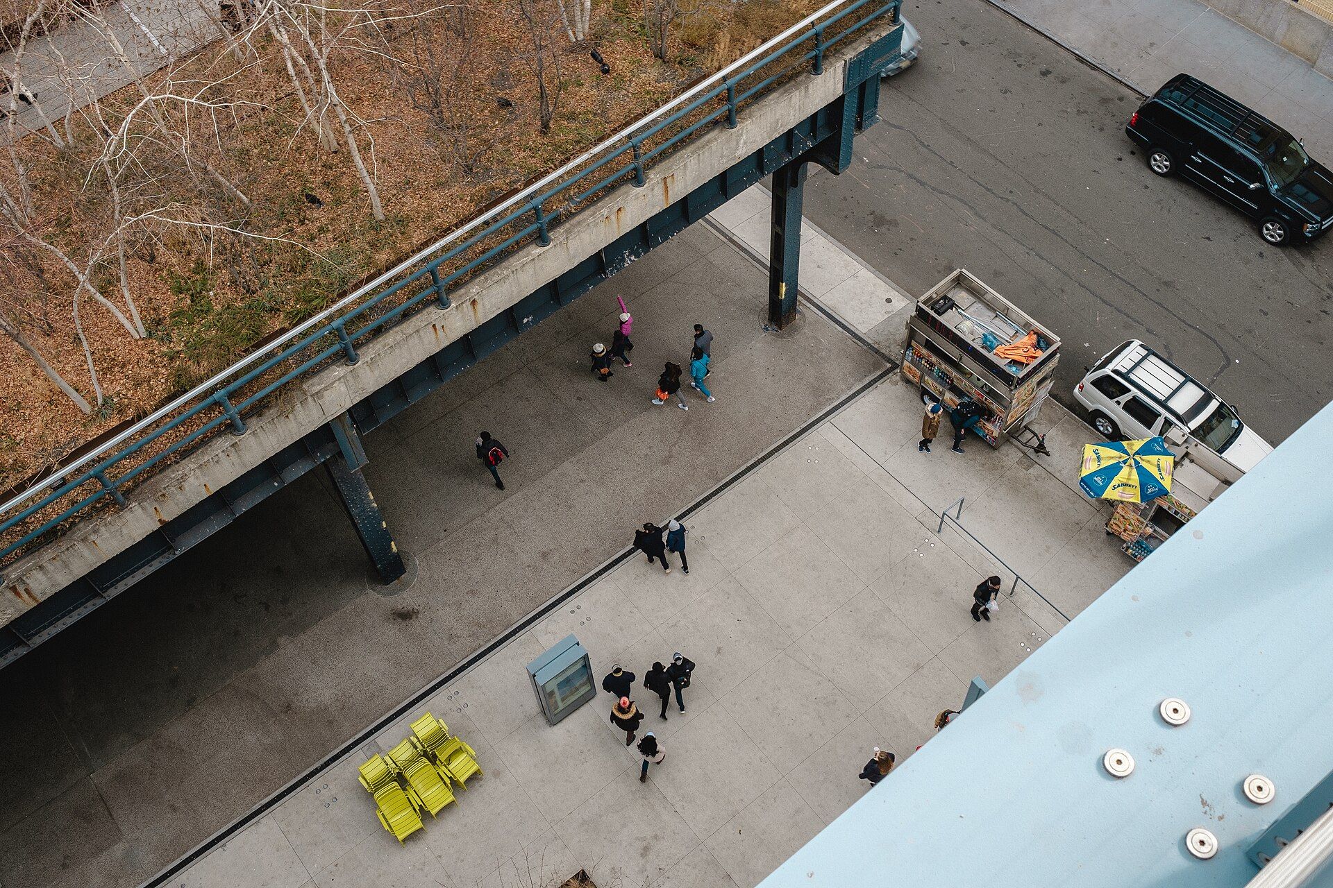 Where to Explore Photography Collections at NYC Art Museums
