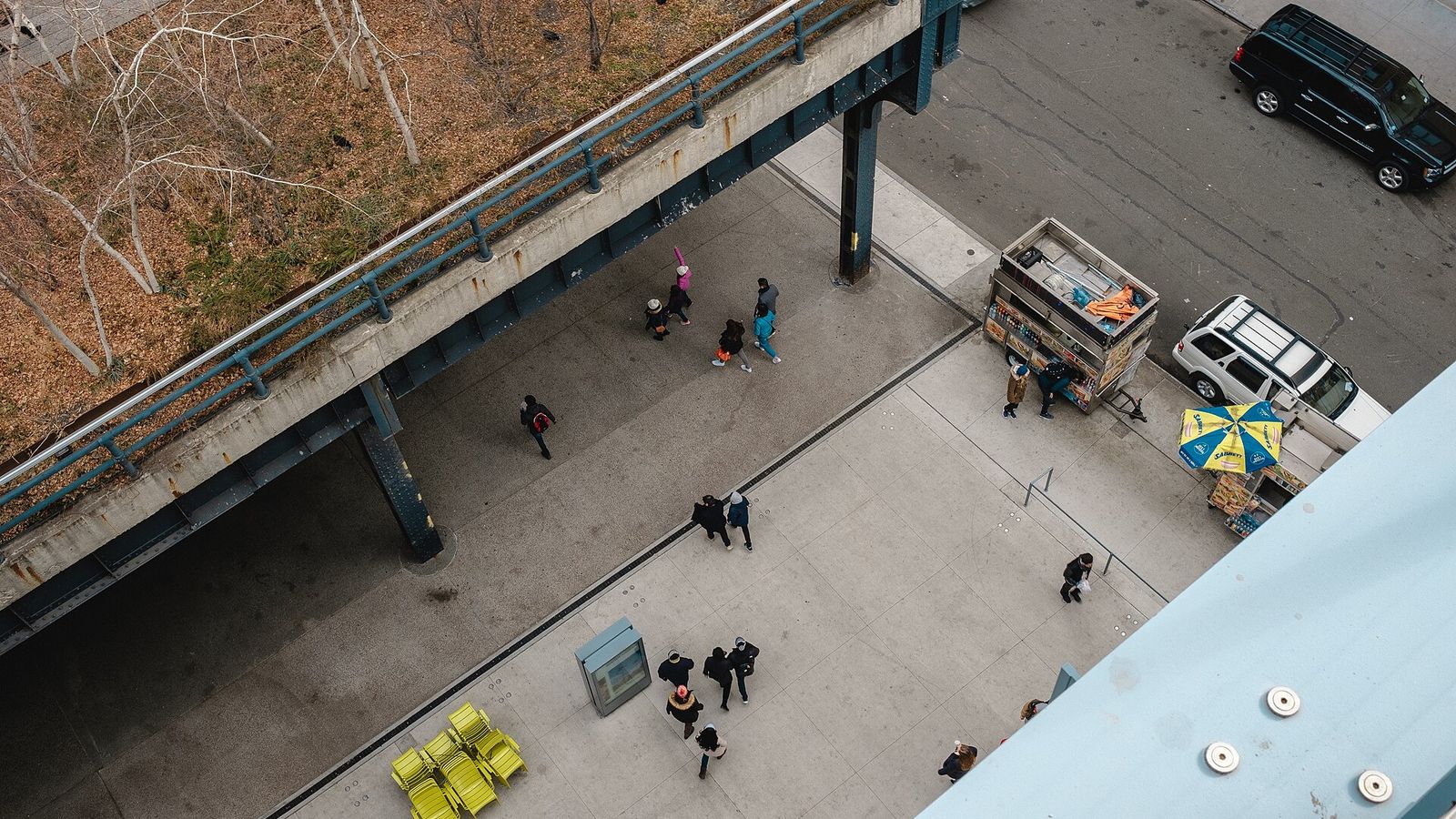 Where to Explore Photography Collections at NYC Art Museums